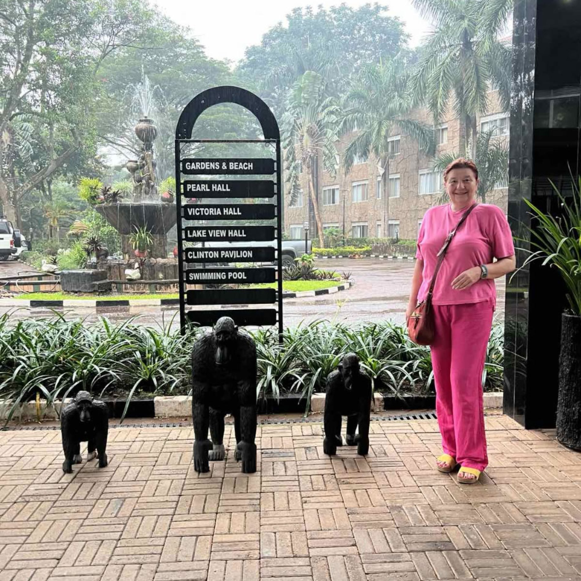 IMG-dr Vesna Lučić