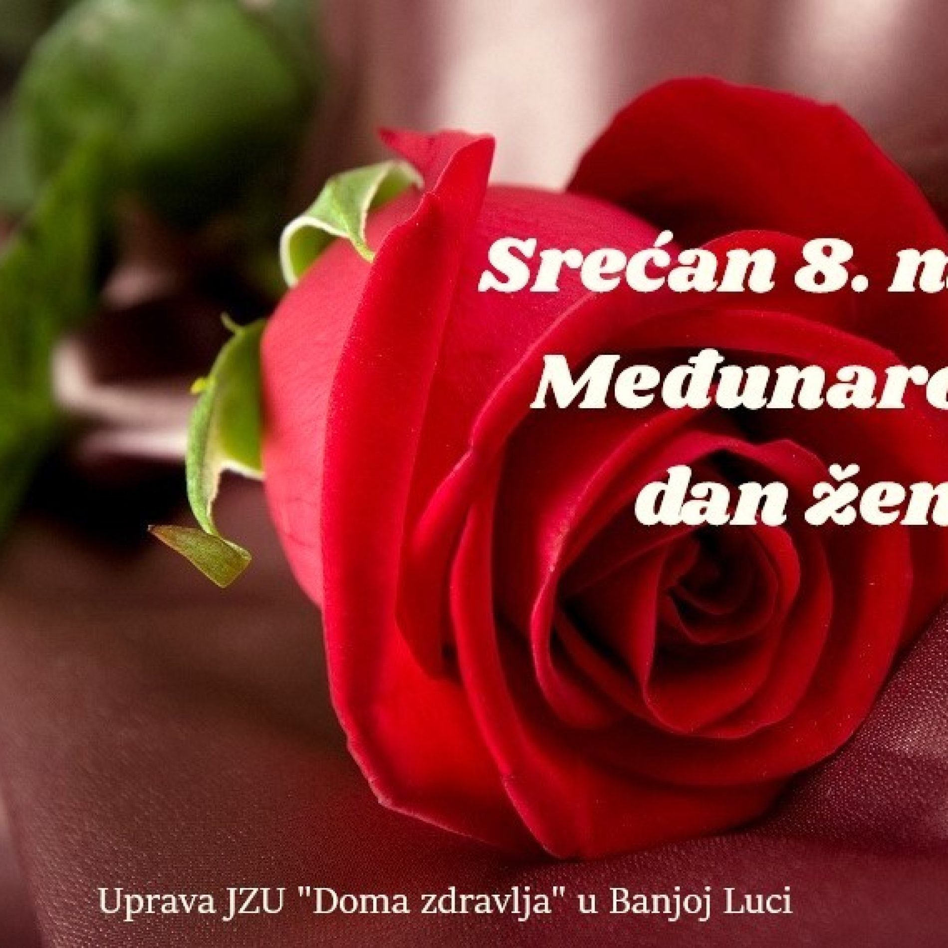 viber_image_2023-03-08_12-46-21-516